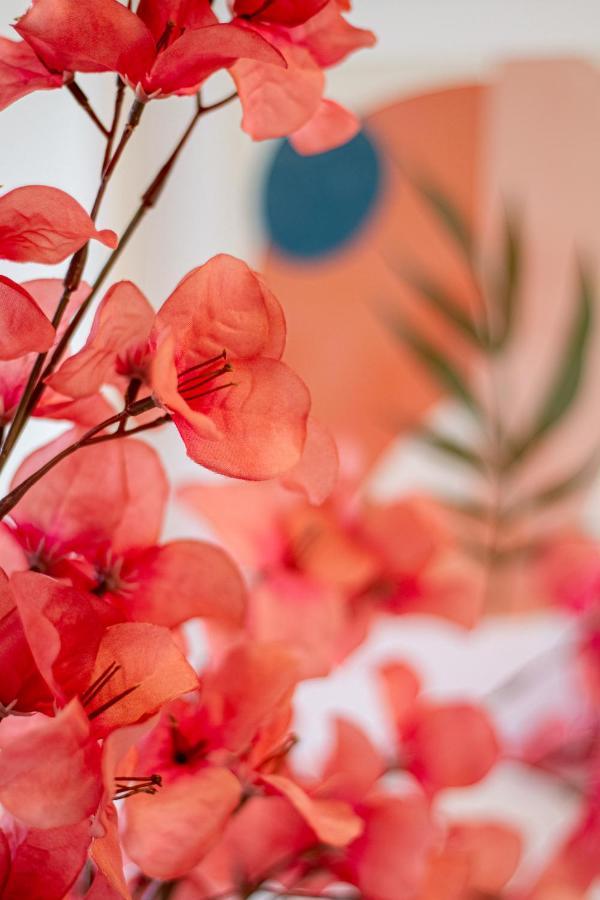 Vibrant City Abode - 2 Bed 2 Bath Lejlighed Christchurch Eksteriør billede